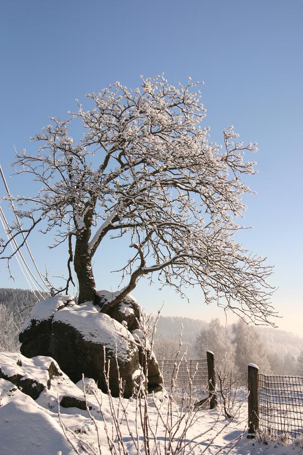 Jeleni Chata Skladanka Lučany nad Nisou Exterior foto