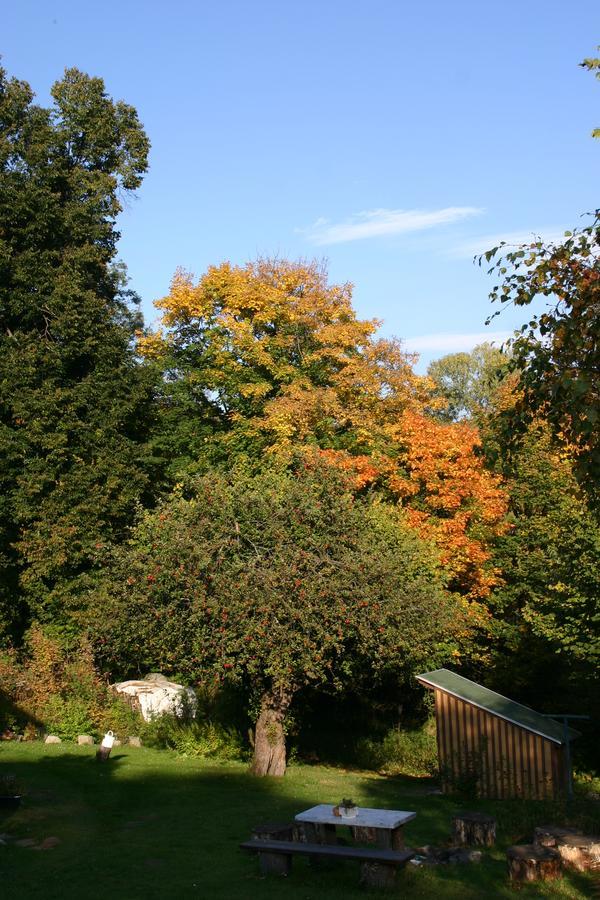 Jeleni Chata Skladanka Lučany nad Nisou Exterior foto