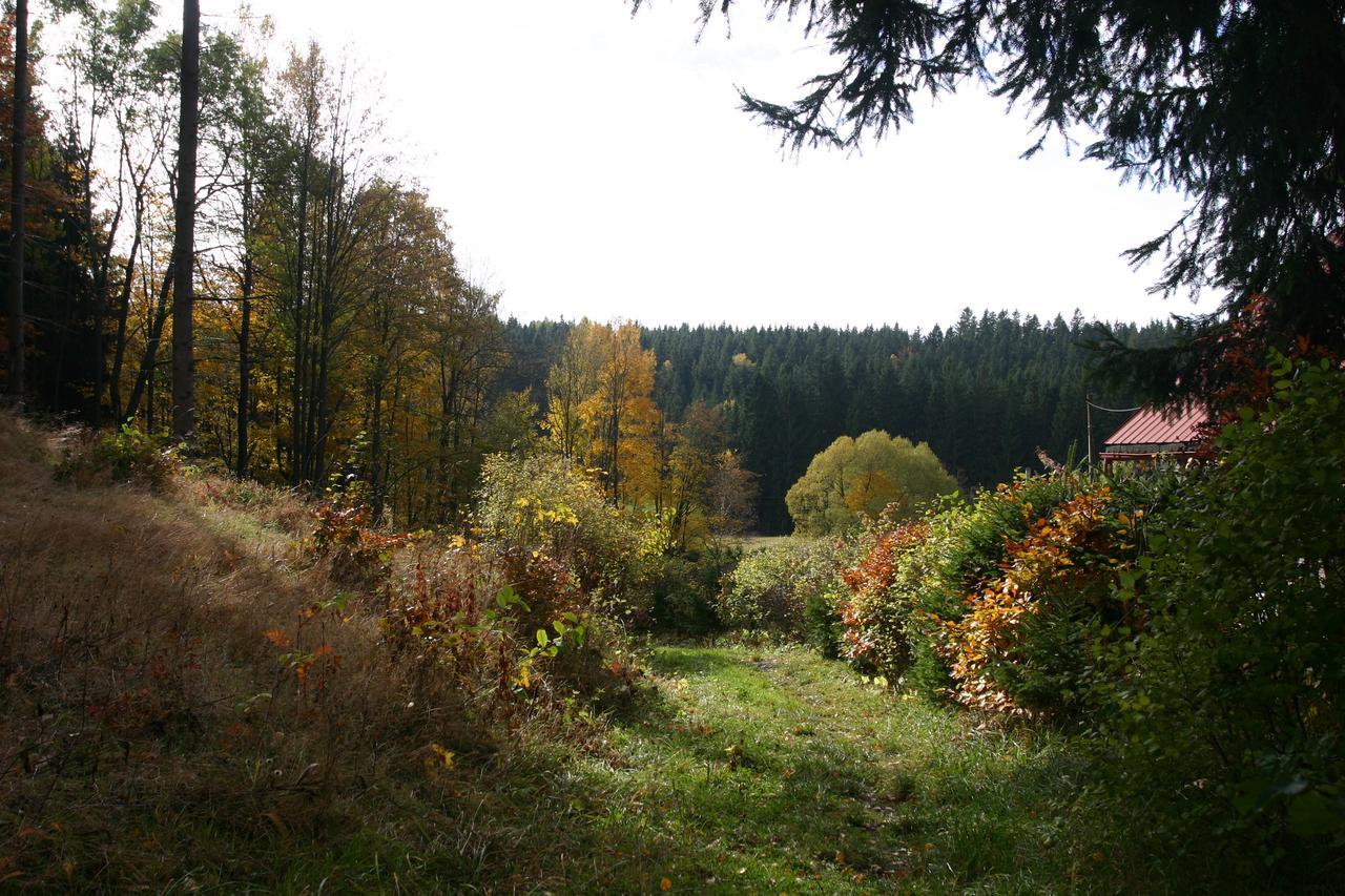 Jeleni Chata Skladanka Lučany nad Nisou Exterior foto